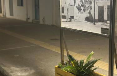 Εξοχική Μονοκατοικία με αυλή και εξωτερική αποθήκη-Country house with yard and external warehouse - Foto 12