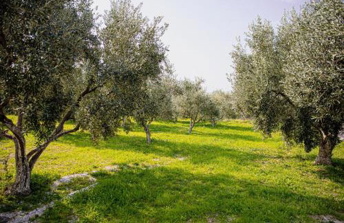 Myrtilli Cottages Pelion - Foto 35