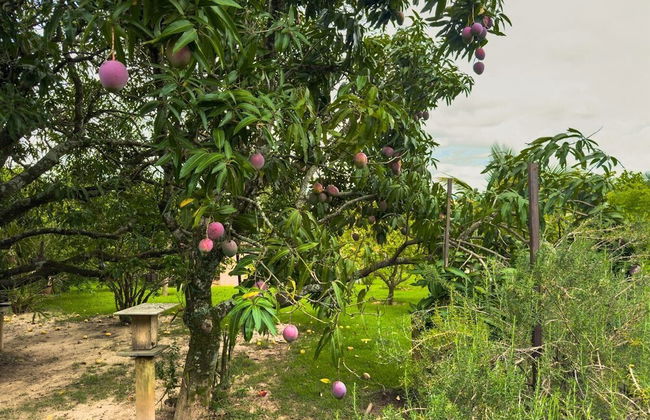 Luxuosa casa Térrea em Itu - Foto 42