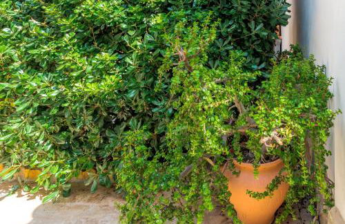 Maryvilla Inspiración y Vacaciones - Villa Mascarat - Photo 64