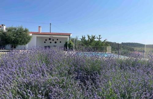 Quinta de Toubres - Foto 15