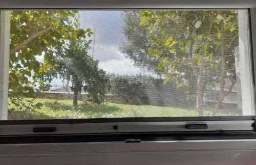 Olive Garden Studio - Foto 10