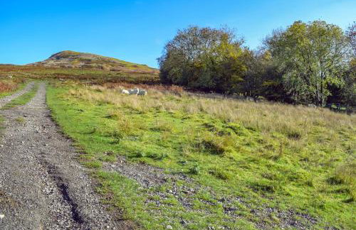 Paramount Cottage - Foto 9