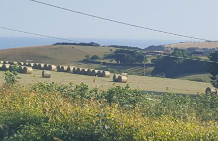 Romantic Hot Tub Breaks Marthys House Looe Polperro Talland Bay - Foto 30