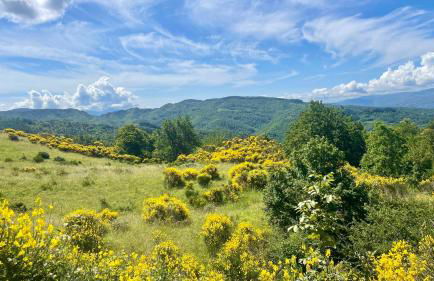 Casa fiordaliso - Foto 38