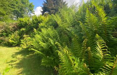Newfoundland Cottage - Photo 6