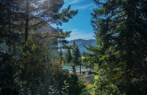 Villa Stella Verde - Wellness Villa with a swimming pool, hot tub and sauna - Foto 79