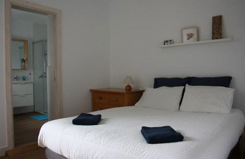 Eguzkilorea - Foto 16