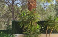 Casa Ladena - Foto 27