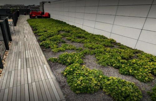 Shaw studio w gym doorman nr nightlife WDC-679 - Foto 17