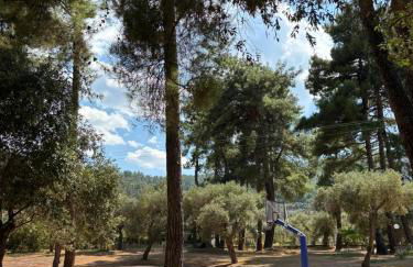 Nisteri Seaside - Photo 36