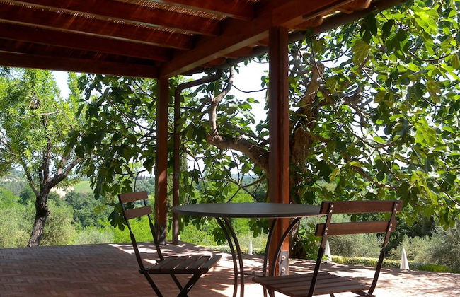 Fattoria di Colleoli - Foto 43