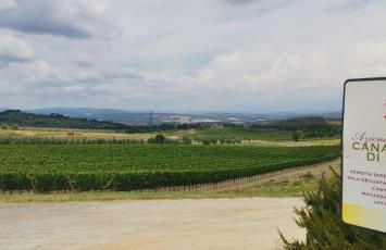 Borgo Canalicchio Di Sopra Relais - Foto 73