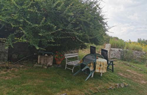 Chez Norbert - Foto 14