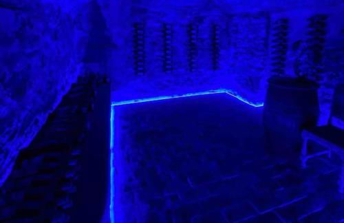 Isola del Pittore casa indipendente in Villa Storica - Foto 39