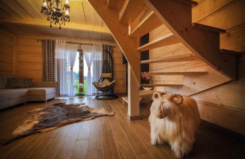 Domki Dream House Resort 606-436-626 - Foto 62