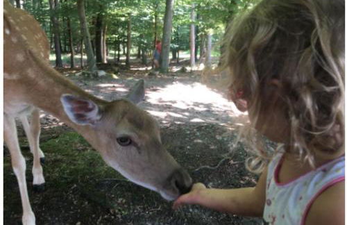 Ferienwohnung Bodensee Nenzingen Hegau - Foto 23