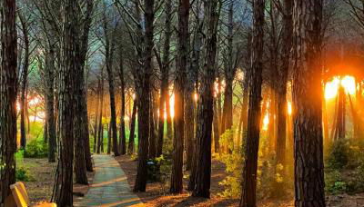 Casa Vacanze "Pizzo Sorriso Del Mare" - Foto 4