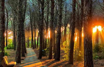 Casa Vacanze "Pizzo Sorriso Del Mare" - Foto 4