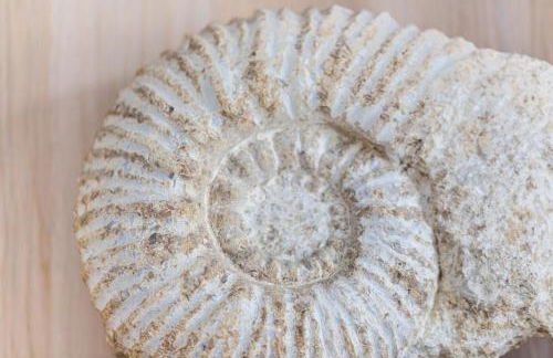 Petite maison CHATELNANON à 250 mètres de la mer - Foto 13