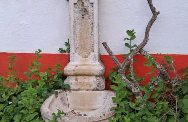 Monte do Rei Santo - Foto 59