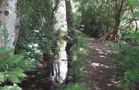 Ferienwohnung Am Gässchen - Foto 20