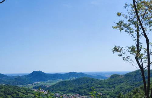 Residence Magnolia - Photo 18