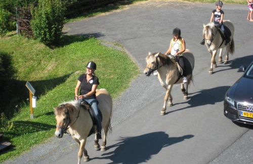 HuizeFrankenau - Foto 31