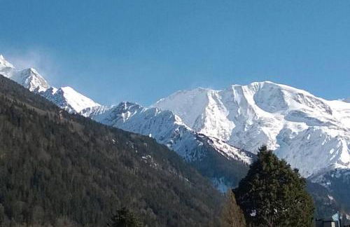 Appartement spacieux proche des télécabines et du centre ville avec jardin privé - Foto 4