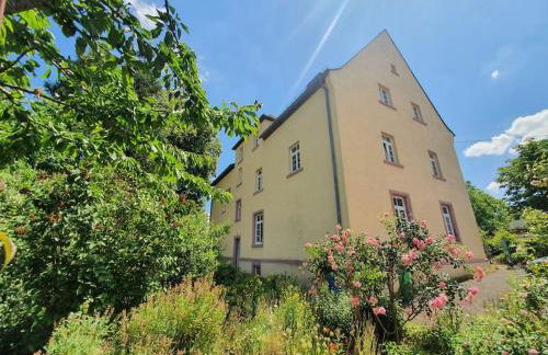 Helle Ferienwohnung - Südeifel - Foto 10