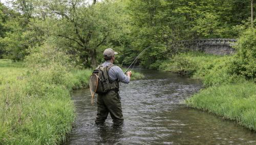 Penn's Creek Symphony - Photo 3