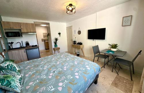 Les Appartements du Mas - Studio Amazonite - Foto 7