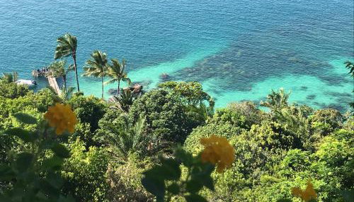 Bangalô dos Sonhos - Photo 5, Garden view