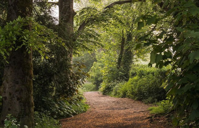 Cozy City Retreat in Bristol With Parking & Patio - Foto 15