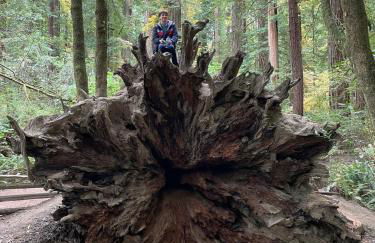 Surfside Beach House near Ancient Redwoods - Foto 13