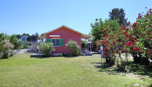 Ailanto - Foto 5, Garden, Garden view