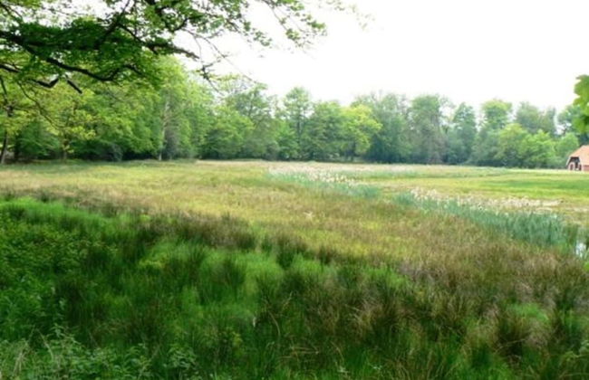 Stylish Escape in Enter - Foto 38