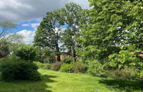 36 m2 2-room apartment, parking, fiber internet, near metro, Literie Bultex - Foto 22