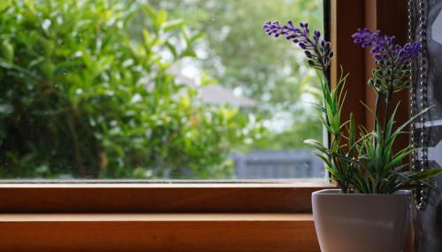 VIP@TheMeadows - Photo 4