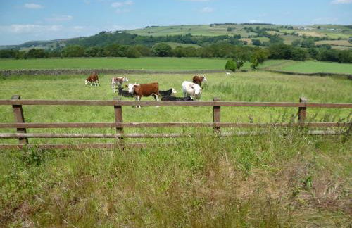 Padley Farm - Foto 106