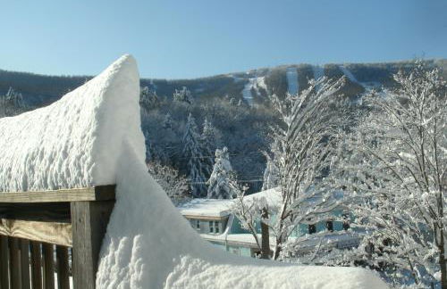 Townhouse W Private Deck & Mt View - Foto 11