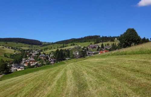 Haus Schöneck - Foto 14