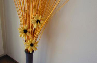 Apartman Mimi - Foto 42