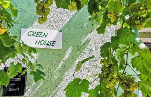 Apartment Green House-1 by Interhome - Foto 20