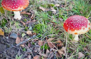 Serviced Apartment - Aberdeen - Foto 20