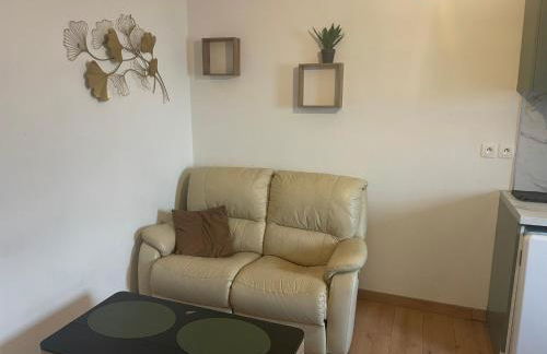 Appart 500 m centre ville - gare - Photo 3