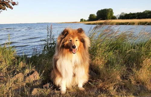 Hafenblick - Foto 25