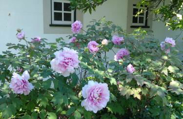 Casas Do Zagão - Turismo Rural - Foto 32