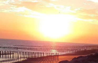 Le bélouga - Foto 22