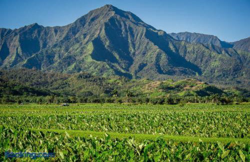 Hanalei Bay Beach Retreat with Waterfall Views - Foto 40